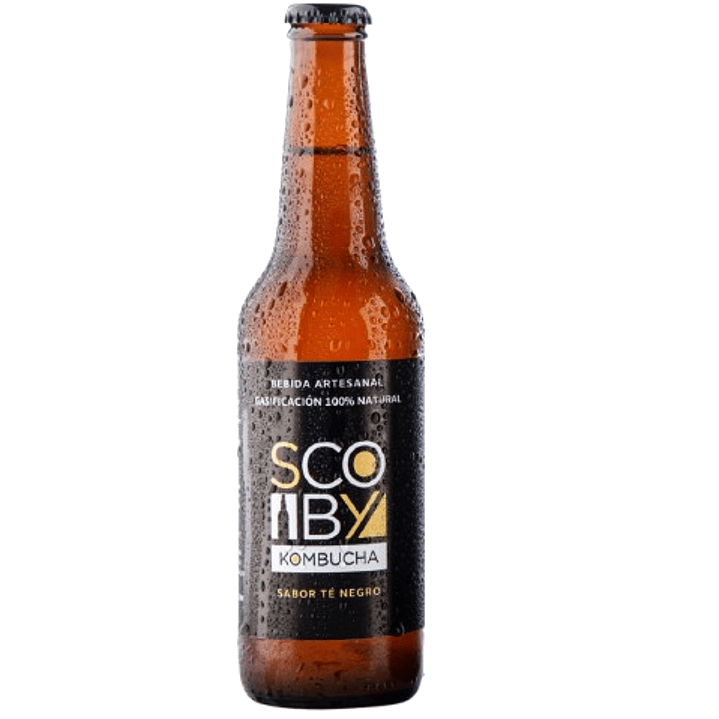 Kombucha Té Negro Scoby  1