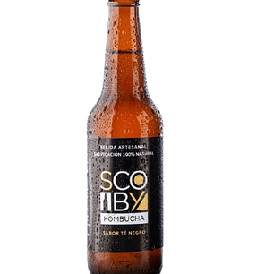 Kombucha Té Negro Scoby 