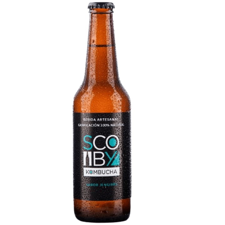 Kombucha Jengibre Scoby 1