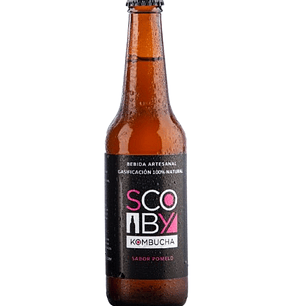 Kombucha Pomelo Scoby  