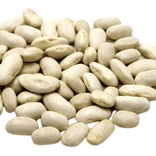 Porotos Tórtola/ Burros