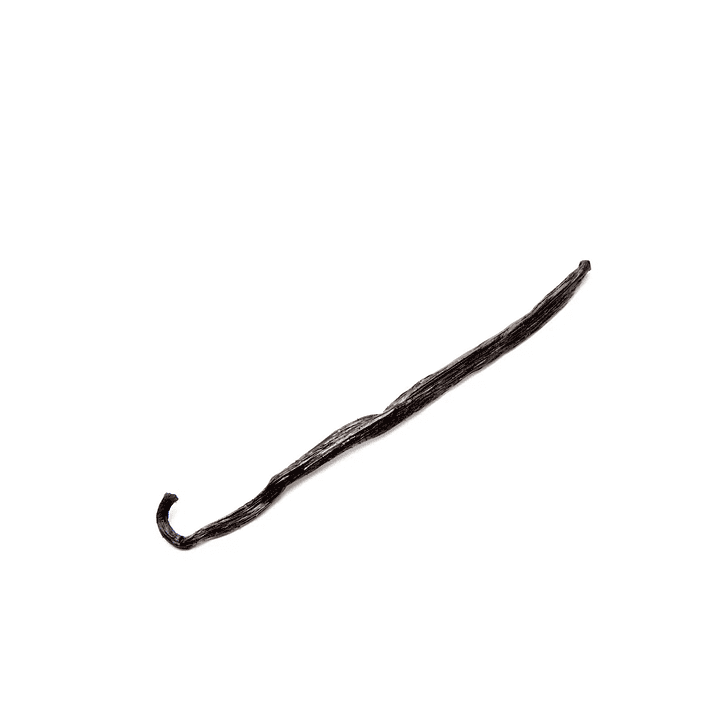 Vaina de Vainilla de Madagascar 1