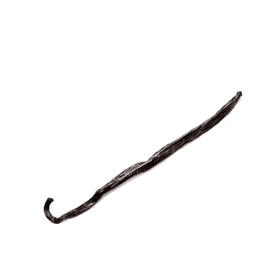 Vaina de Vainilla de Madagascar