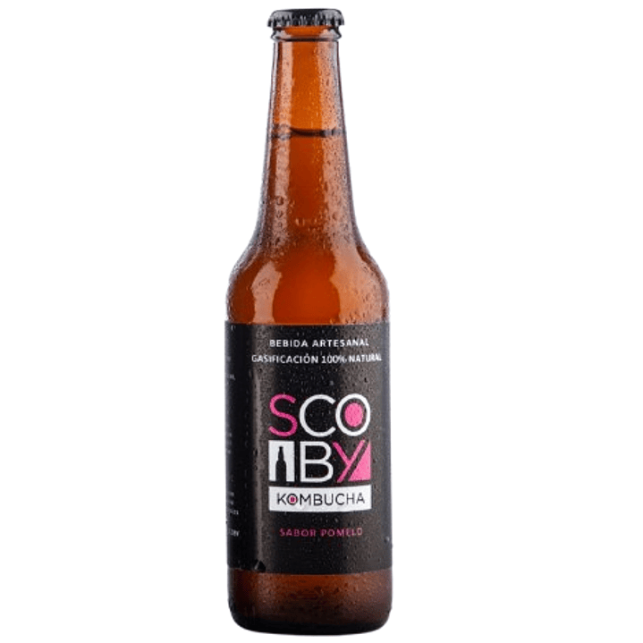 Pack 4 unidades Kombuchas Scoby 2