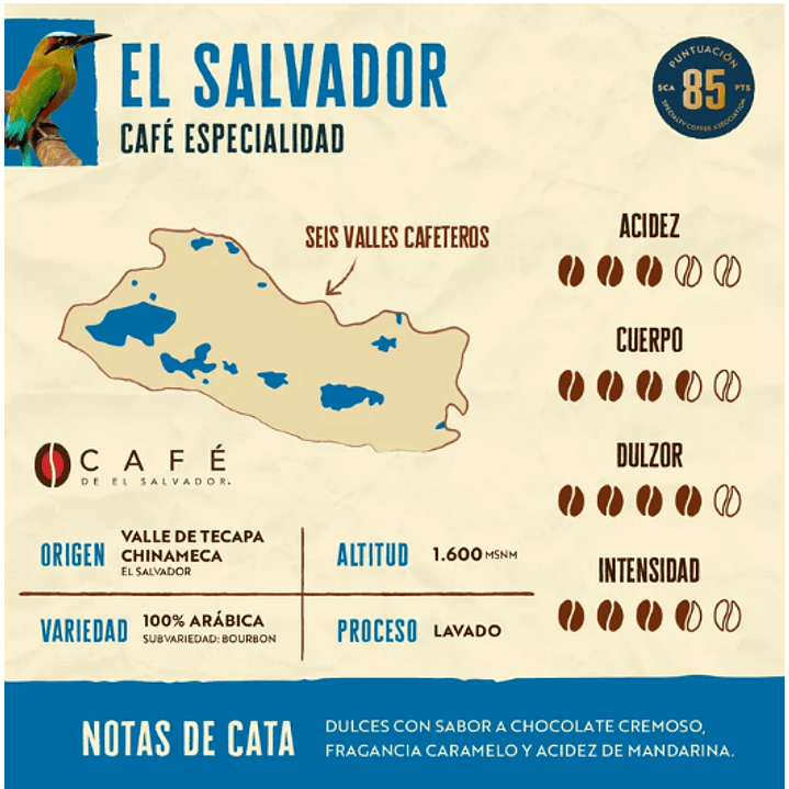 Café en grano de especialidad. 2