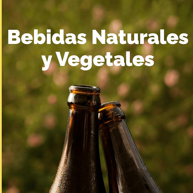 Bebidas Naturales y Vegetales