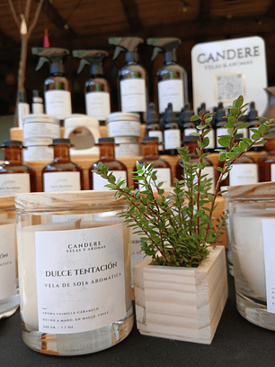 Vela de soja aromática 220 Gr.