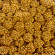 CRUNCHY ASTEROIDES GLOW GOLD
