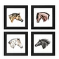 Cuadros 4 Razas de Caballos - 20x20cm - Miniatura 1