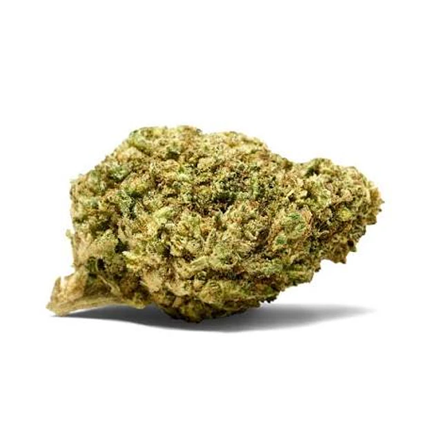 Flor Green Light 
