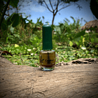 Combo Uñas CanNail 3