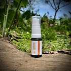 Combo Bálsamo Uñas y Bálsamo Cejas 3