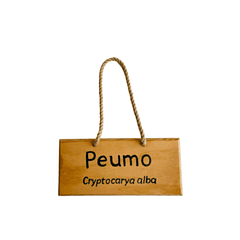 Letrero de madera Peumo