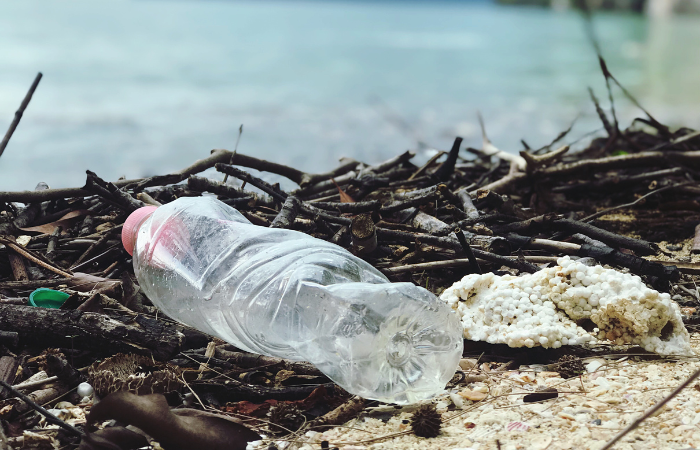 Charla online: Soluciones a la contaminación por plásticos