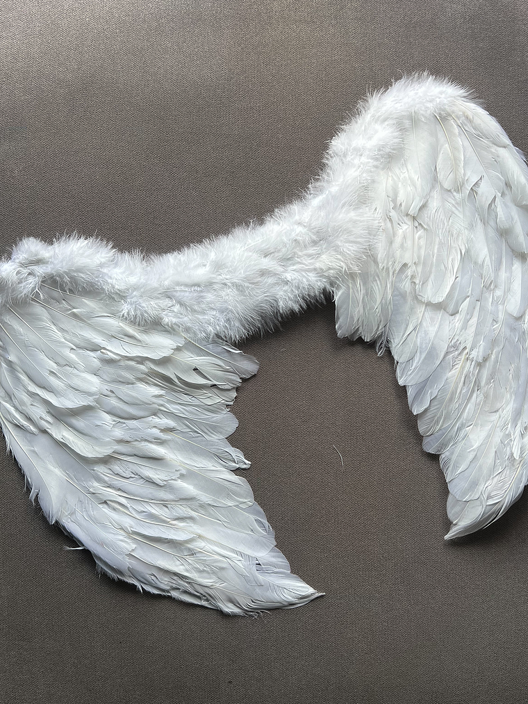 Alas de Angel/Diablo 4