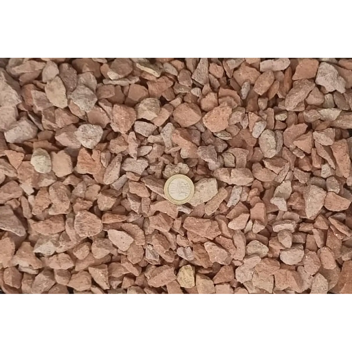 Roja mediana