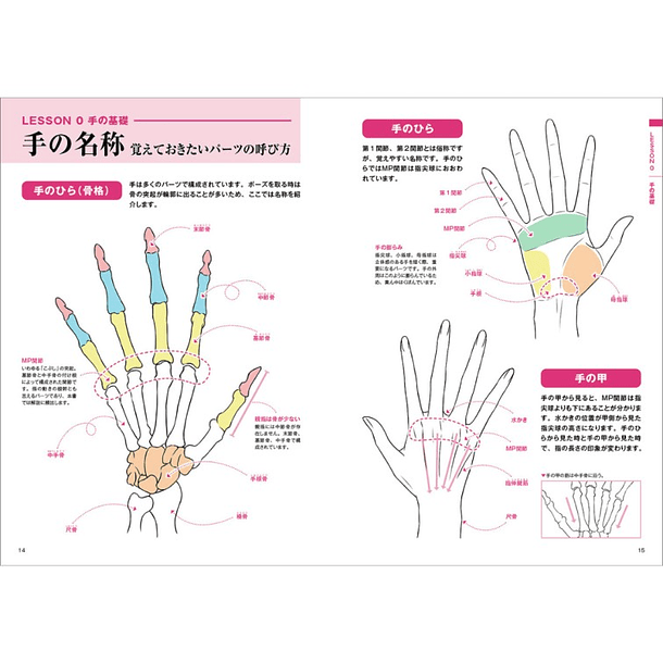 How to Draw Beautiful Hands 3