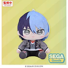 Hatsune Miku: Coloful Stage! Mysekai Plush Toya Aoyagi S 2