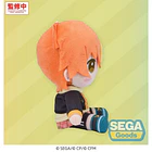Hatsune Miku: Coloful Stage! Mysekai Plush Akito Shinonome S 5
