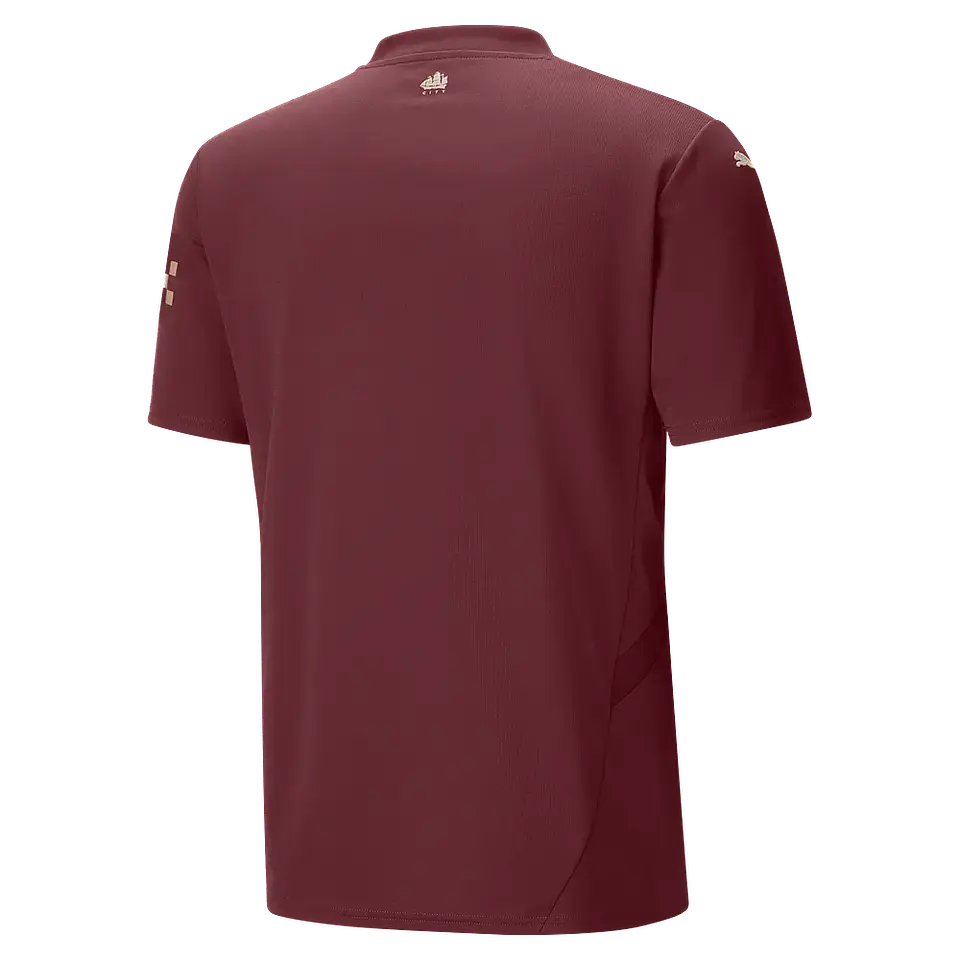 Camisola Puma Manchester City Segundo Equipamento 2024-2025 Adulto 2
