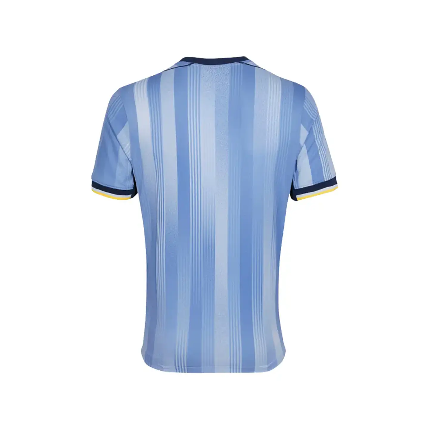 Camisola Nike Tottenham Segundo Equipamento 2024-2025  2