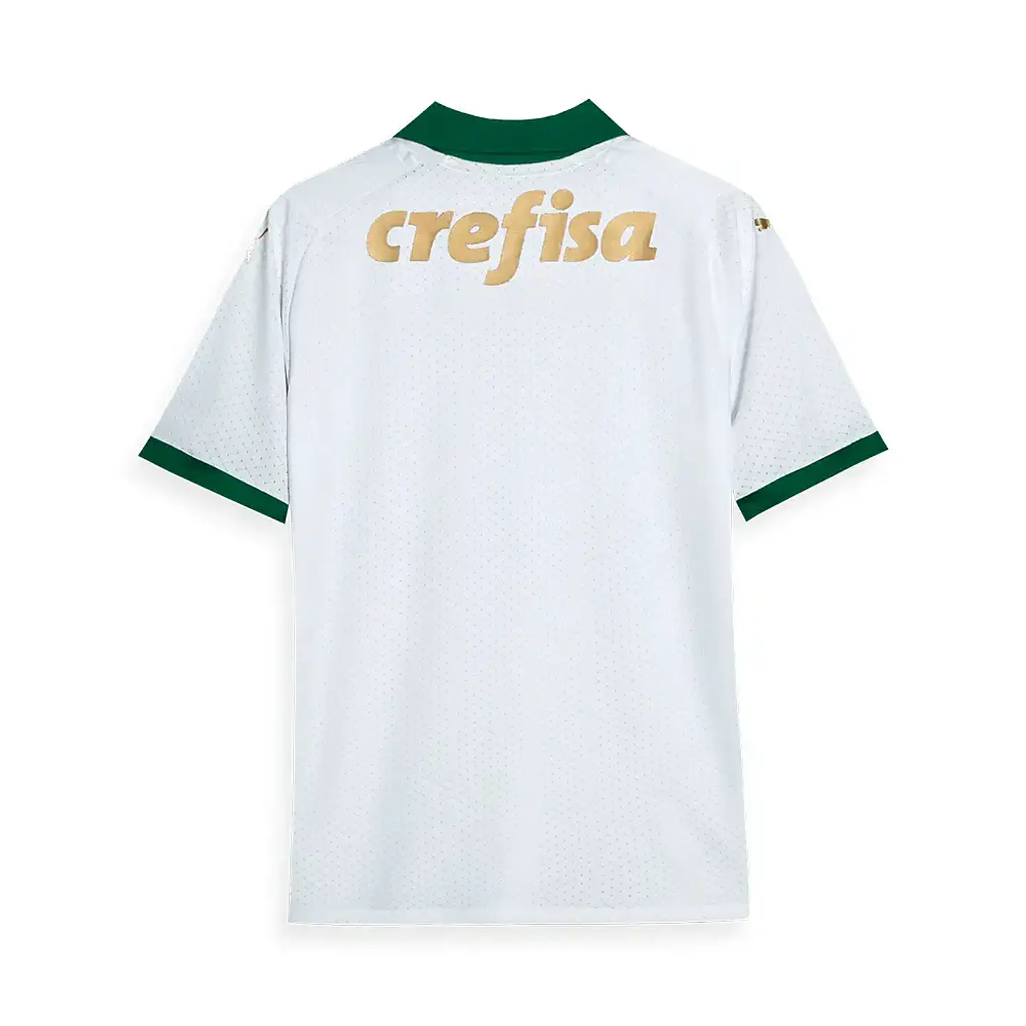 Camisola Puma Palmeiras Segundo 24/25 2