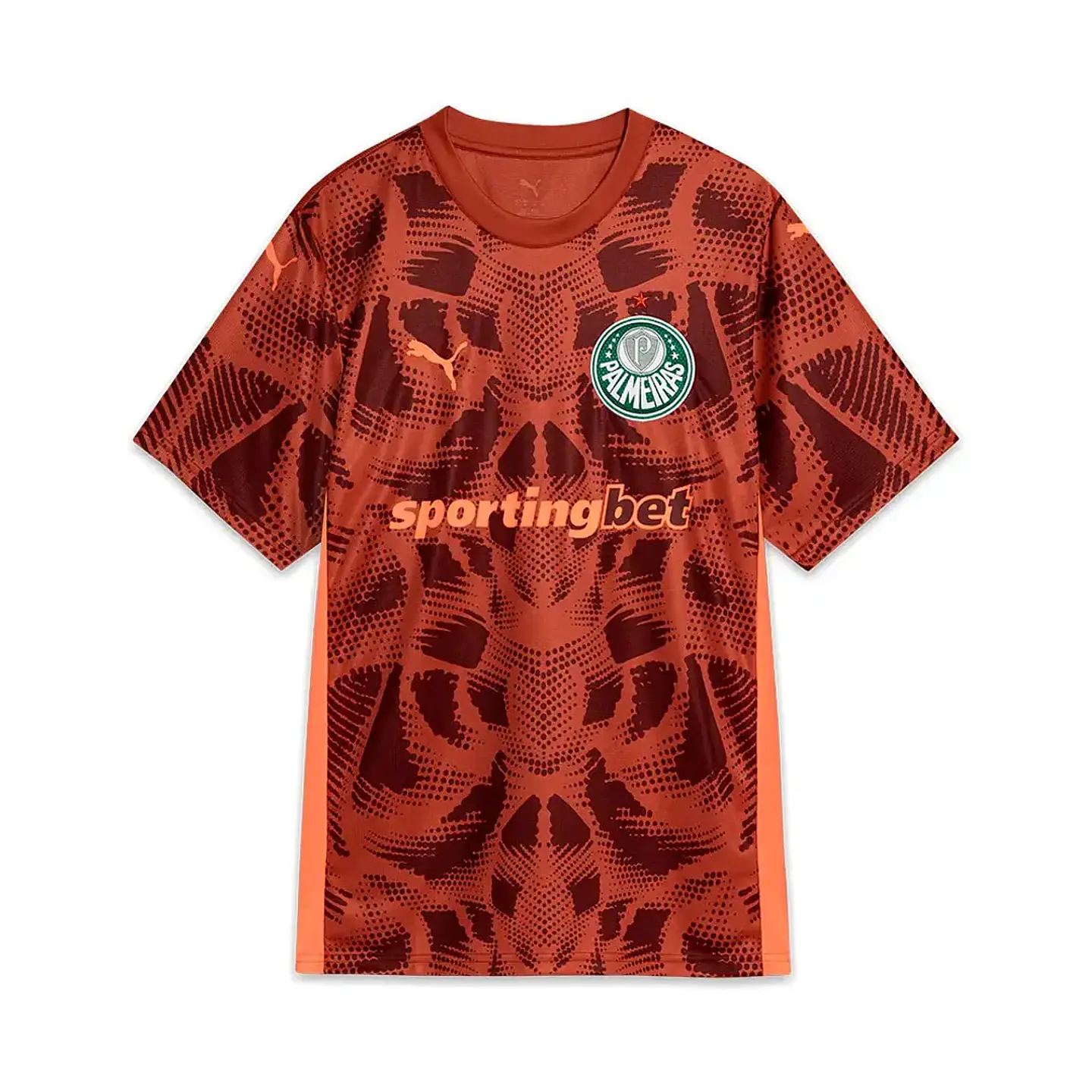 Camisola Palmeiras Guarda-Redes 25-26 1