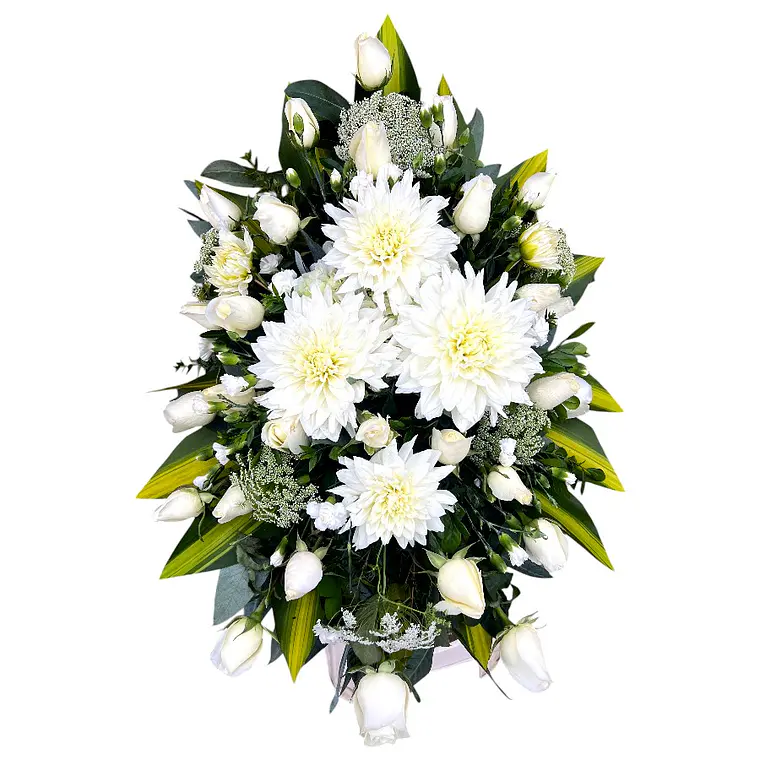 Lagrima Floral - 24 Rosas  1