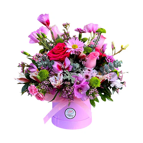 Box Primaveral con Rosas