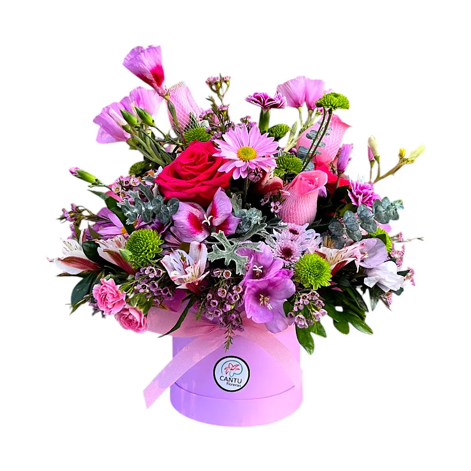 Box Primaveral con Rosas 1