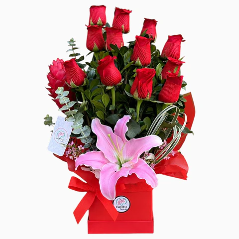 Box de 12 Rosas
