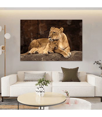 Painel em Canvas Lioness