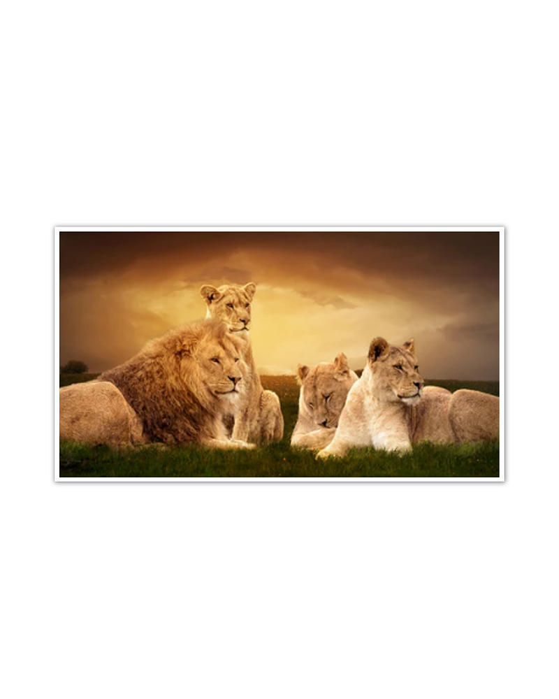 Painel em Canvas Animalia 