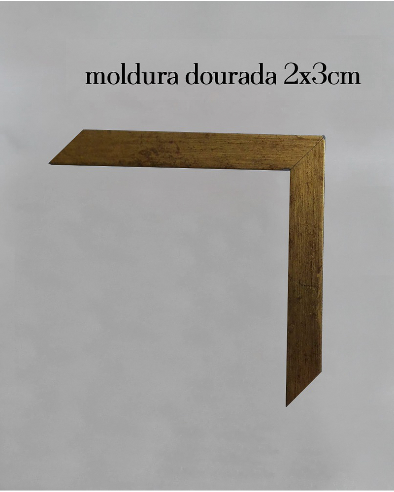 Quadro Decorativo Regality