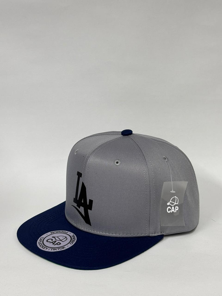 Gorra plana lisa - Bicolor Gris x negro / LA  2