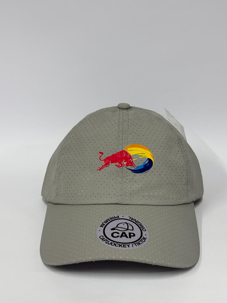 Gorra dry fit 6p - Gris / Red Bull 1