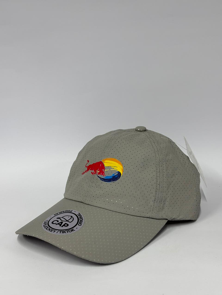 Gorra dry fit 6p - Gris / Red Bull 2