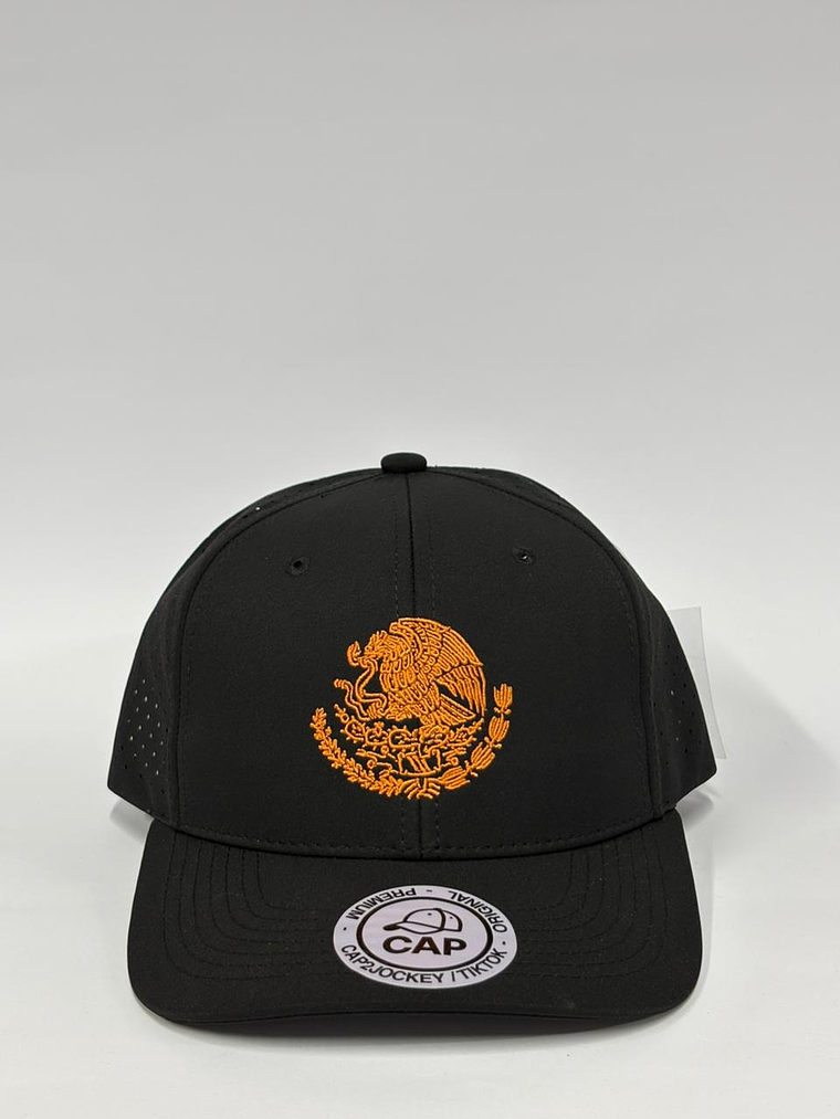 Gorra de lona 6p - Negro / Escudo de México  1