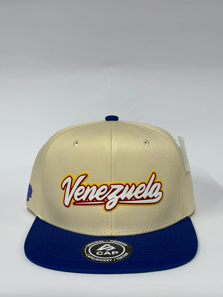 Gorra plana 6p - Beige x azul / Venezuela 3D 1