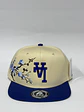 Gorra plana de 6p - Beige x Azul R / LA Floreada  - Miniatura 1