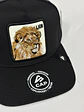 jockey de malla 5p - Negro / Lion  - Miniatura 2