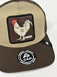 jockey de malla 5p - Bicolor Beige x marrón - Leghorn - Miniatura 2