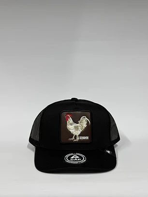 Jockey de malla 5p / Negro - Leghorn