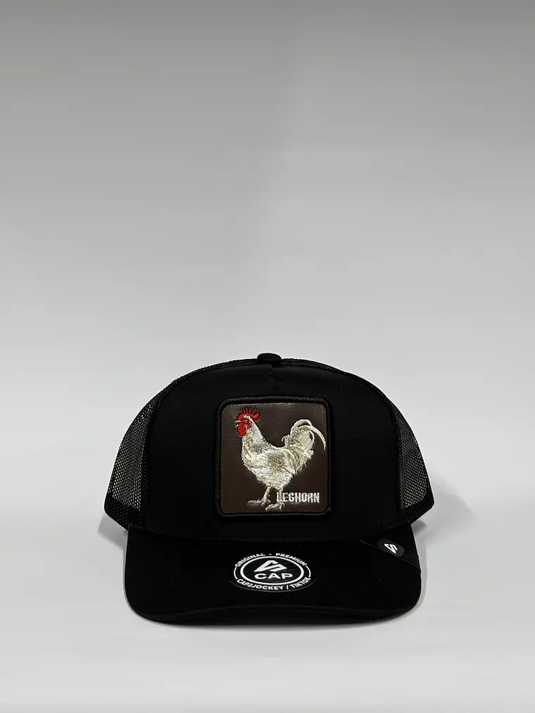 Jockey de malla 5p / Negro - Leghorn 1