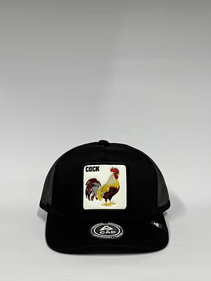 Jockey de malla 5p / Negro - Cock 