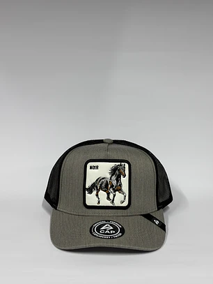 Jockey de malla 5p / Gris x negro - Noir 