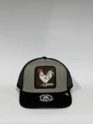 Jockey de malla 5p / Gris x negro - Gallo Lechorn