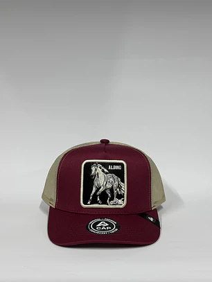 Jockey de malla 5p / Burdeo x beige - C. Albino