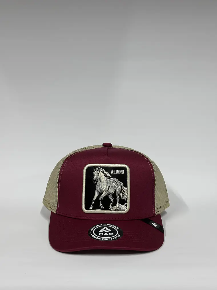 Jockey de malla 5p / Burdeo x beige - C. Albino 1
