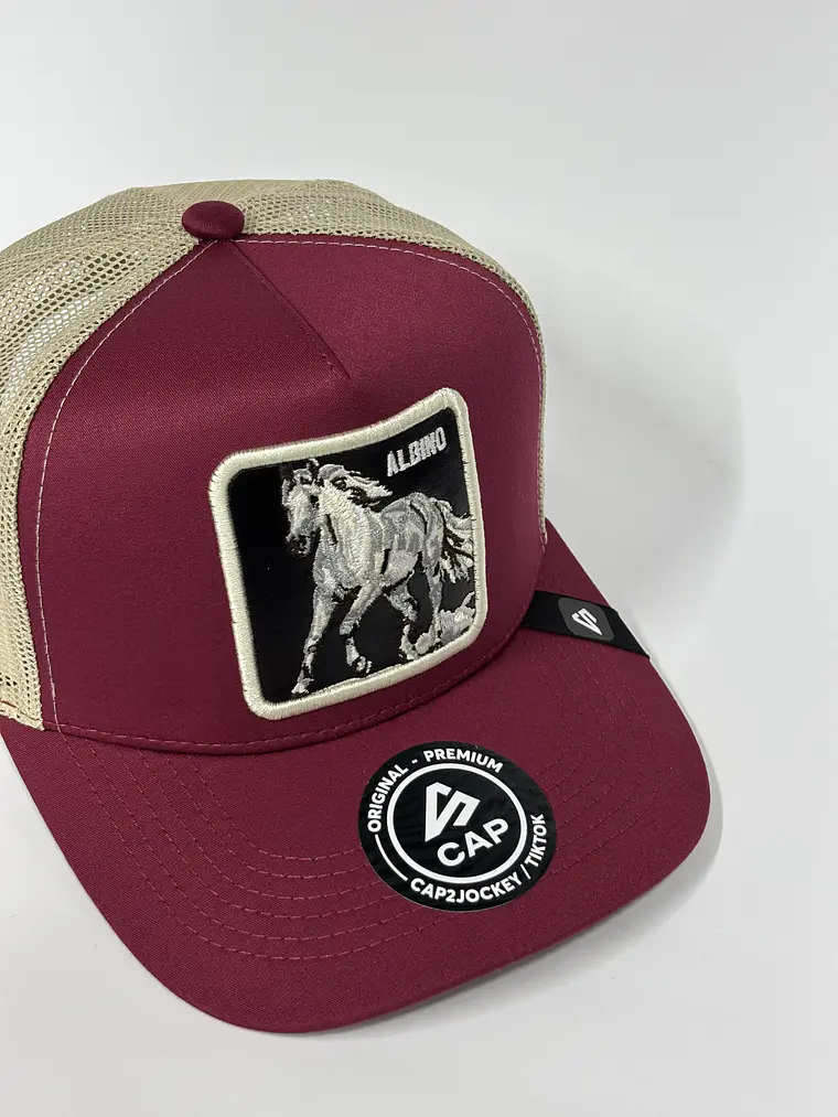 Jockey de malla 5p / Burdeo x beige - C. Albino 3